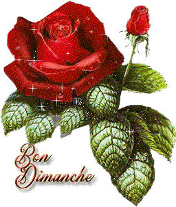 Gif animé Bon dimanche rose rouge